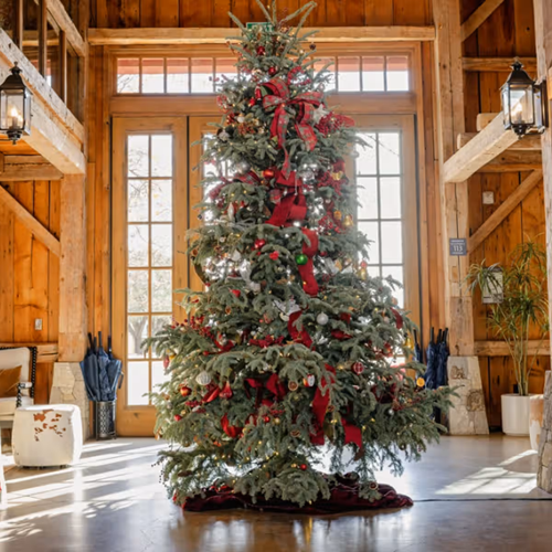 Winter, Wonder & Wine at Nickel & Nickel