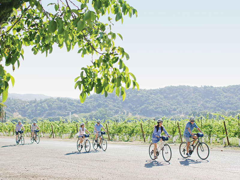 Vine trail discovery tour