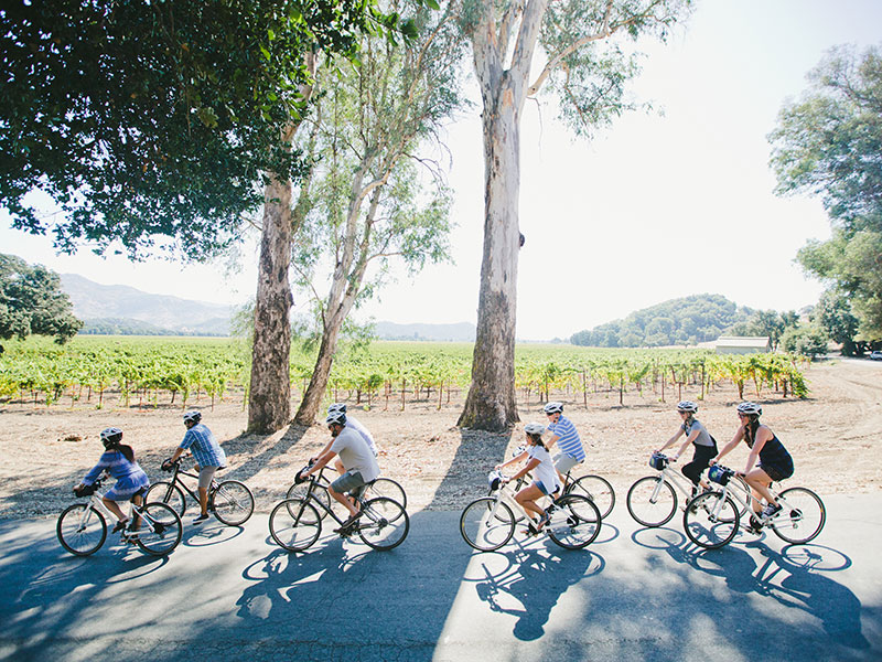 Half-day e-bike tour