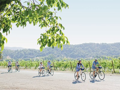 Napa Valley Bike Tours Vine Trail discovery e-bike tour
