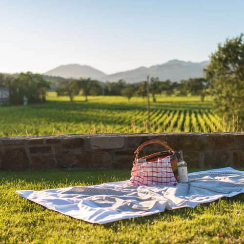 Picnic in Napa Valley, CA