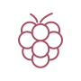 Grapes on Vine icon