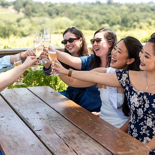 Iron Horse Vineyards