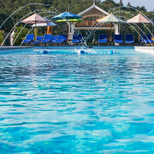 pool view