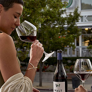 Walt Wines Tasting