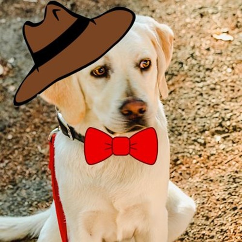 Halloween Walk ‘n Wag at Jack London State Park