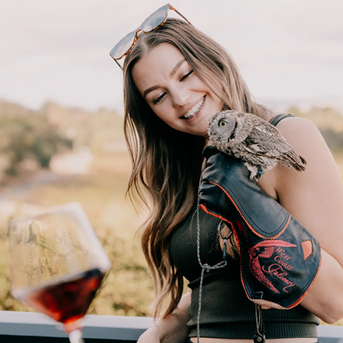 October Sunset Series at MacRostie Estate House