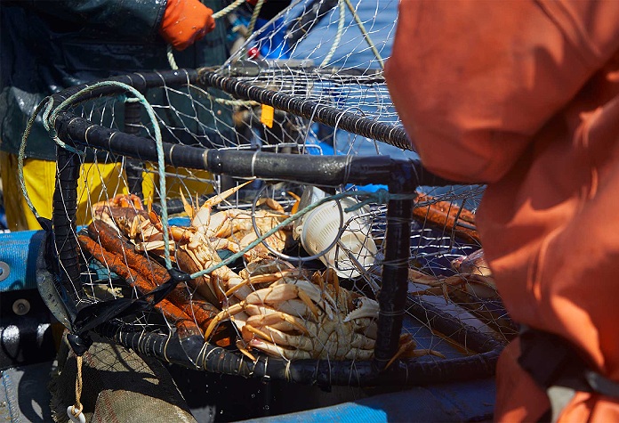 Spud Point Crab Company