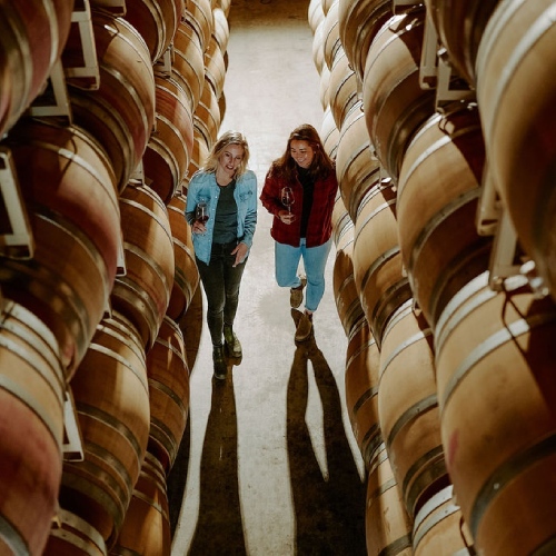 Seghesio Family Vineyards