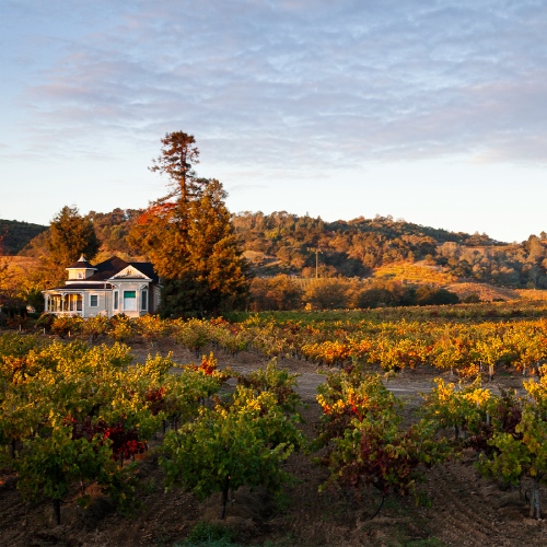 Seghesio Family Vineyards
