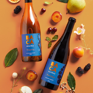 BACA Wines Holiday Gifts