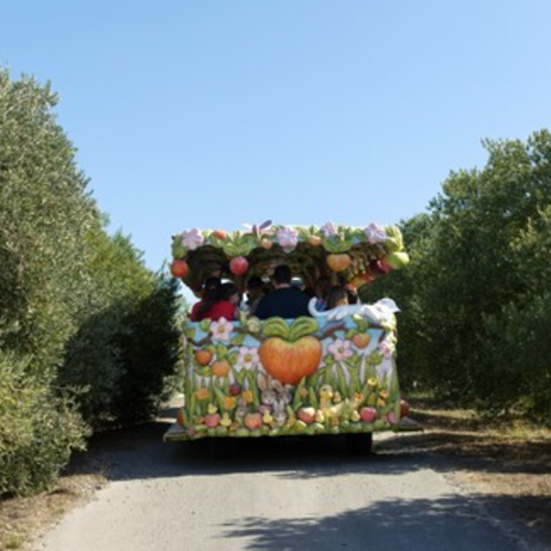 Festive Farm Tour and Seasonal Sips at Gold Ridge