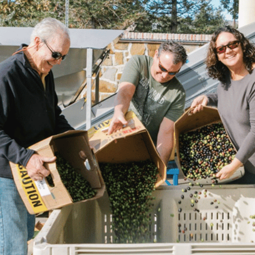 Community Press at The Olive Press