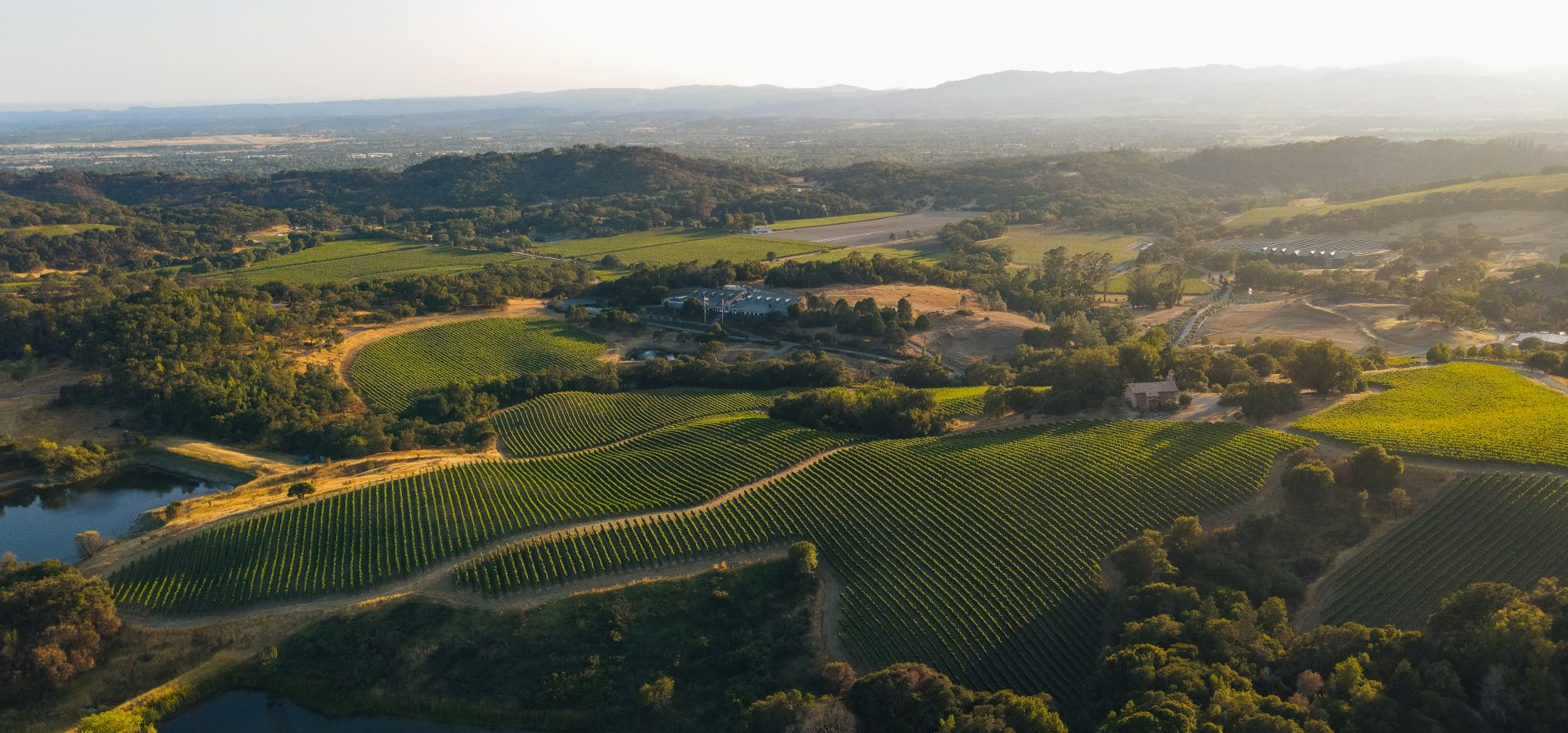Chalk Hill Estate Vineyards & Winery