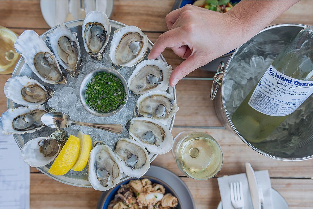 Hog Island Oyster Co.