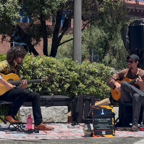 Sundays in the Plaza at Healdsburg Plaza