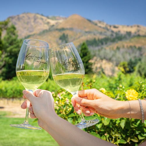 Summer Fridays at Landmark Vineyards