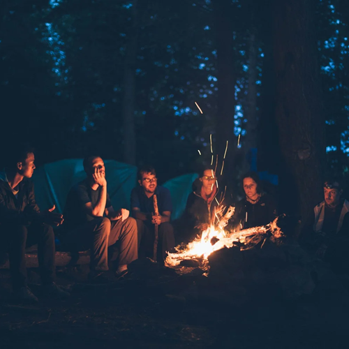 Sonoma Coast Foraging Campout