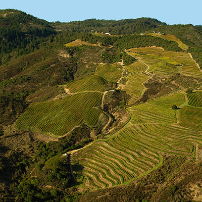Extraordinary Mountain Terroir