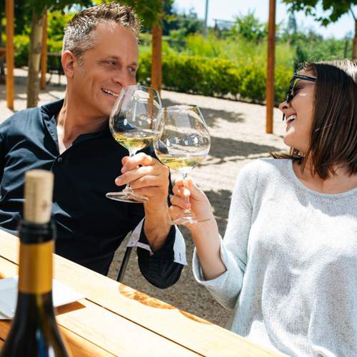 Fall Harvest Festival at DeLoach Vineyards