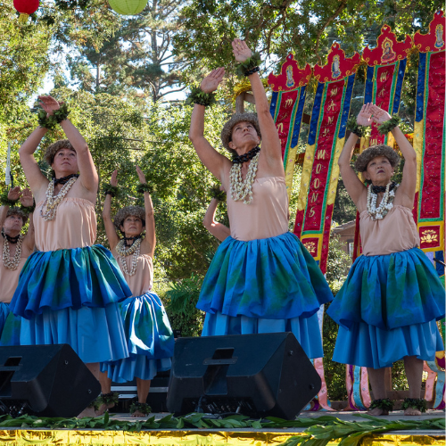 Many Moons Festival at Ives Park