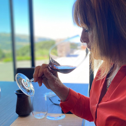 Wine Tasting at the Sonoma Ice House