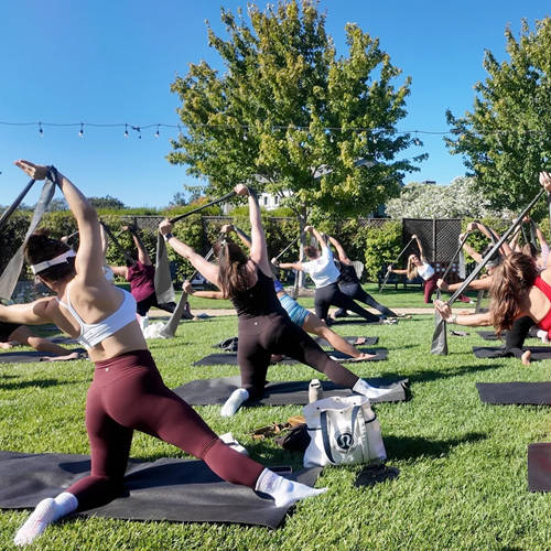 Sculpt & Sip with Purpose at Bricoleur Vineyards